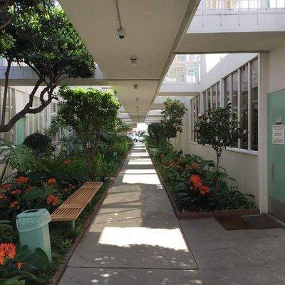 Botanical atrium/walkway on the first floor