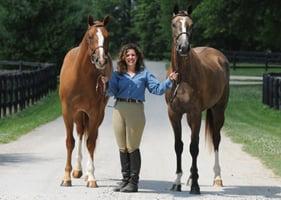 VanderVail offers horse owners, farms, and other equine facilities insurance policies specifically tailored to your needs.