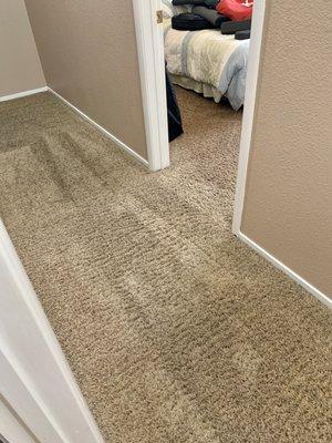 Epic Carpet Care