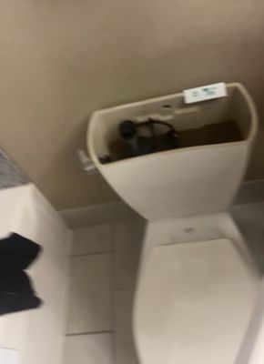 Brown toilet