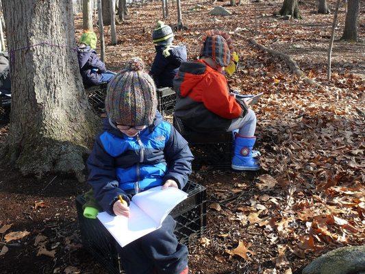 Children spend time in the beautiful forest surrounding the school.