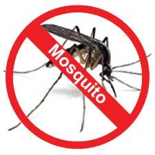 Mosquito Control