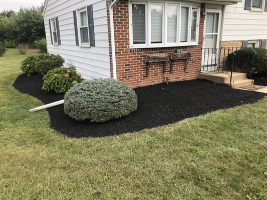 These flower beds were overrun with thistle. We also removed a couple small bushes. Then we put a nice edge and some shiny black mulch.