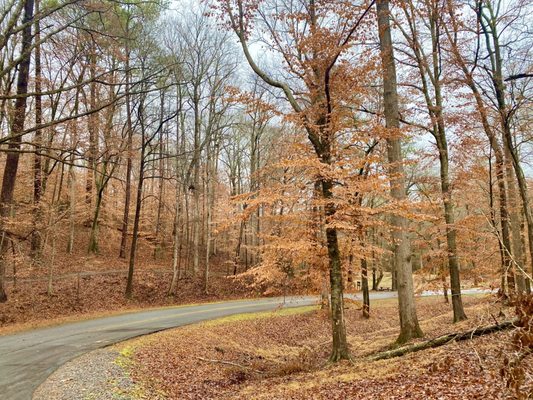 Indian Springs State Park