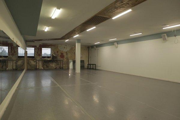 Studio 2 - professional, marley-covered studio with mirrors, sprung floor, and art wall (view toward wall) - 55 x 30 ft