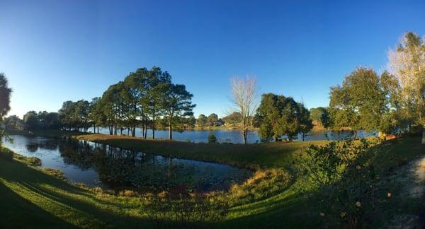 Beautiful View from your backyard