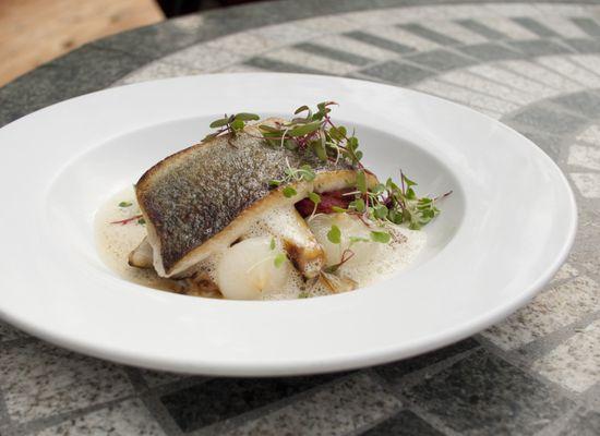 pan seared rainbow trout, salsify, cipollini onions, celery root spuma