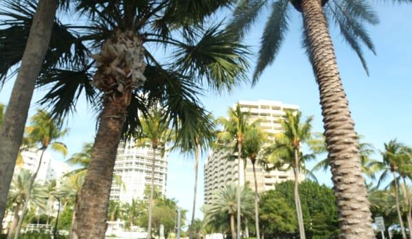 Plaza of Bal Harbour Condominium