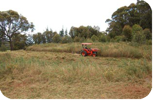 Field Mowing Services