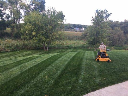 Professional Lawn Mowing