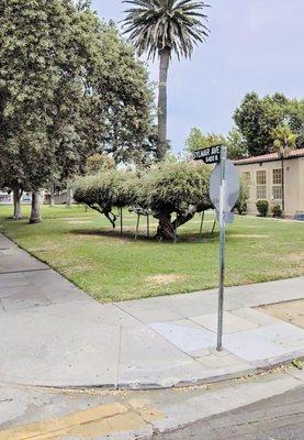 Van Nuys Elementary School