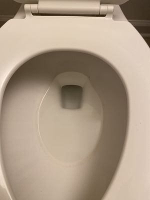 dirty toilet