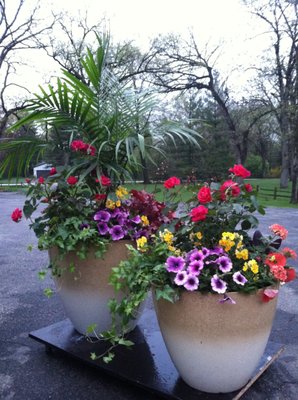 Summer planters ready for delivery