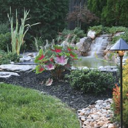 Landscape Designs