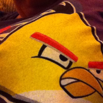 photo of Angry Bird T.