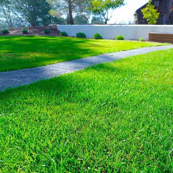 Green Top Lawn Care