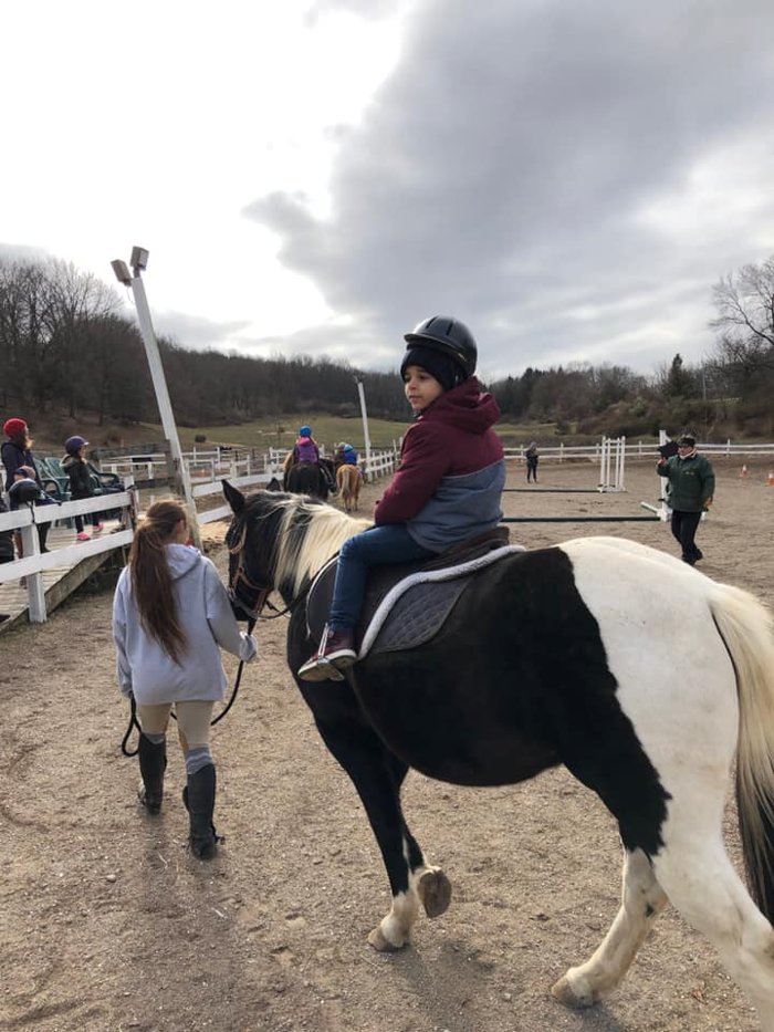 Morning Star Farm Riding Academy & Therapeutic Riding Center