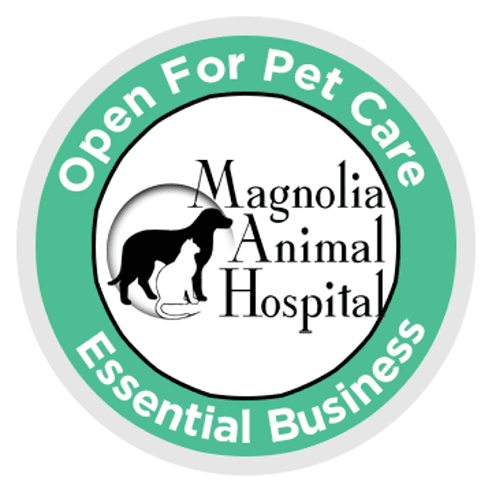 Magnolia Animal Hospital